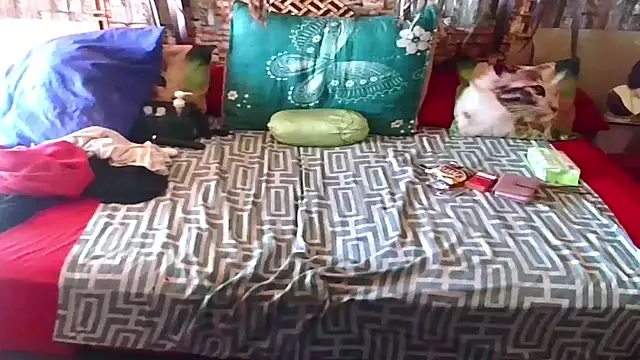 Indian Blaze00 online show from December 20, 9:23 am