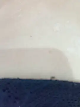 By Aninha online show from November 12, 8:40 am