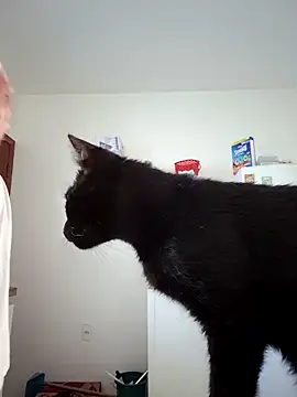 Escarlate4you  online show from March 22, 9:44 am