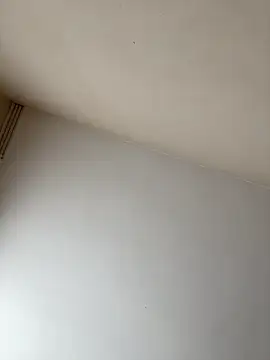 rpotktkkt online show from November 20, 9:43 am