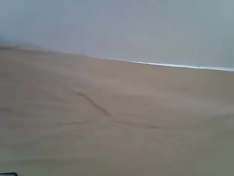 hey its andreana online show from November 19, 10:04 am