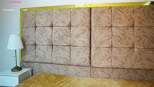 ShelleyMorell online show from March 6, 1:28 pm