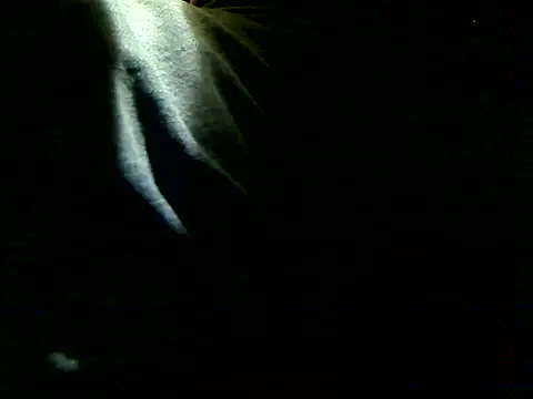 Snapshot of markluvskitty chatting on December 5, 3:43 pm markluvskitty online show from December 5, 3:43 pm