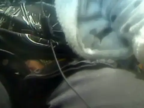 markluvskitty online show from March 7, 6:00 pm