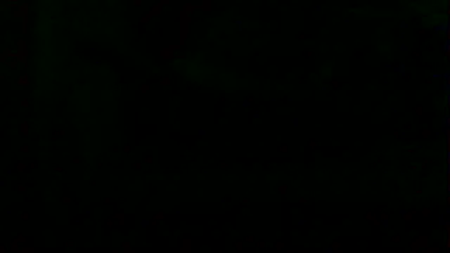 markluvskitty online show from April 12, 7:55 am