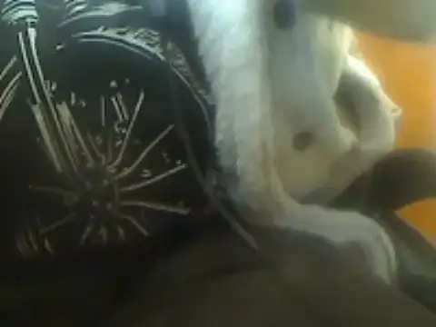 markluvskitty online show from March 7, 9:06 pm