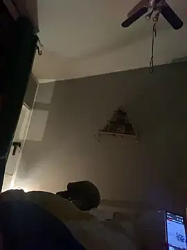 Snapshot of WreckedCrop chatting on January 6, 1:31 am WreckedCrop online show from January 6, 1:31 am