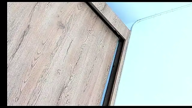 Stiven collins online show from December 13, 8:04 pm