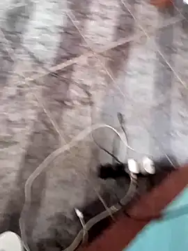 Nh2424 online show from October 31, 12:46 pm