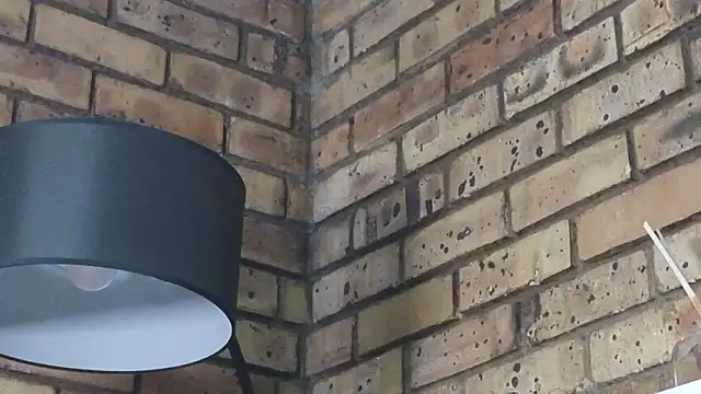 Astoria Moon online show from January 14, 12:20 pm