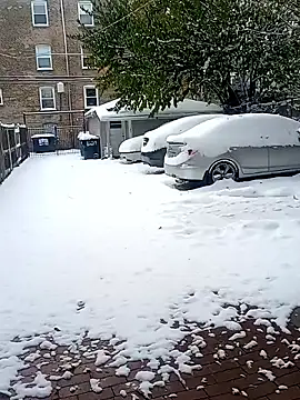 AmazonianMistress online show from November 10, 7:30 pm