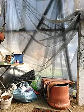 EmmaSquirt online show from March 20, 11:38 am