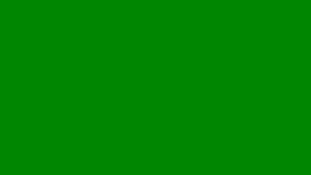  Kitti  online show from March 24, 3:12 pm