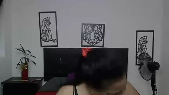 Snapshot of Shanttal0272 chatting on November 28, 2:50 pm Shanttal0272 online show from November 28, 2:50 pm