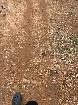 Black-mamba-madingo online show from March 29, 2:08 pm