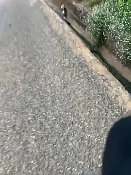 Black-mamba-madingo online show from April 16, 6:14 am