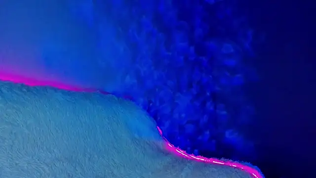 Inner Light online show from December 13, 4:38 pm