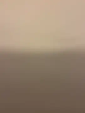 Snapshot of Nemadokmeg1111 chatting on January 24, 8:23 am Nemadokmeg1111 online show from January 24, 8:23 am