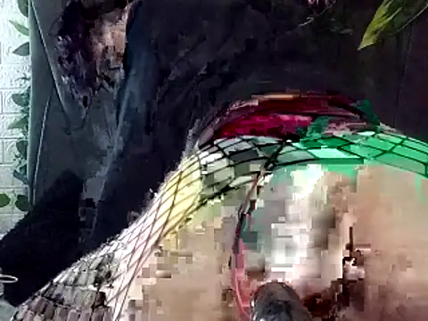 Devilnia9 online show from February 4, 10:38 pm