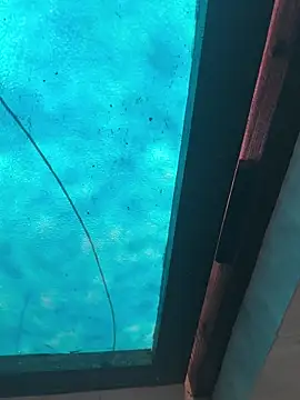 kalakim online show from October 13, 10:17 am