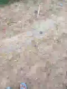 kalakim online show from February 4, 2:28 am