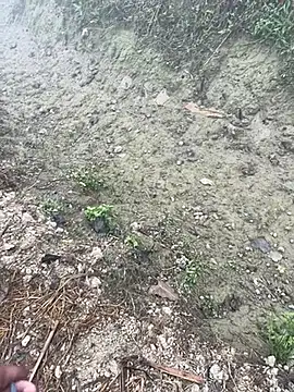 kalakim online show from January 13, 2:15 am