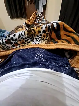 Snapshot of villagb12 chatting on December 25, 7:24 pm villagb12 online show from December 25, 7:24 pm