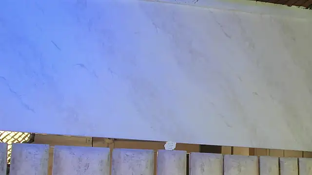 barbara cambels online show from January 13, 7:18 pm