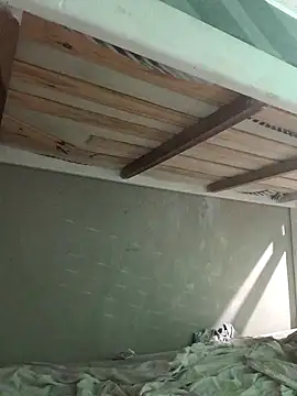 puak6666 online show from November 14, 5:00 am