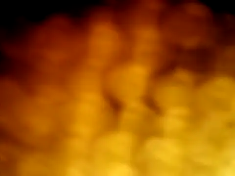 puak6666 online show from April 5, 5:47 am