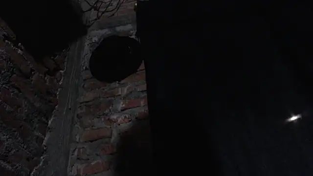 J232001 online show from March 1, 11:49 pm