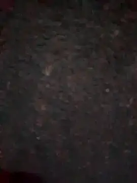 Rozittaa online show from November 9, 5:17 pm