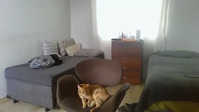 prorafadodoce online show from February 2, 6:51 pm