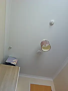 Snapshot of meateater1 chatting on November 1, 10:42 am meateater1 online show from November 1, 10:42 am