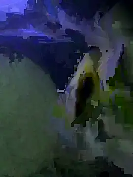 deleware806 online show from February 1, 9:07 am