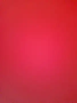 Priya Bong online show from November 8, 7:34 am