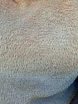 Priya Bong online show from January 15, 4:05 am