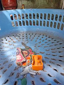 Priya Bong online show from December 16, 2:27 am