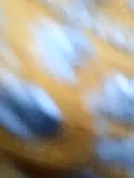 Snapshot of Priya_Bong chatting on May 29, 1:33 am Priya Bong online show from May 29, 1:33 am