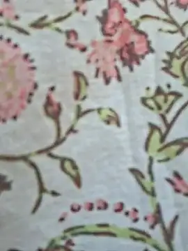Priya Bong online show from June 24, 1:26 am