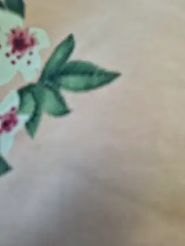 Priya Bong online show from March 10, 2:59 am