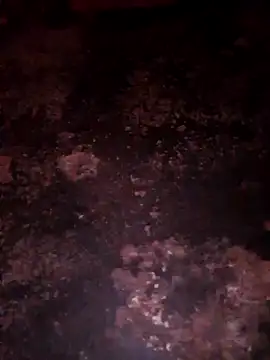 Priya Bong online show from December 20, 11:51 pm