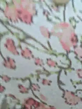Priya Bong online show from July 18, 2:31 am