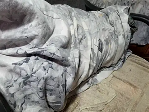 BBC JoyBoi online show from March 20, 12:50 pm