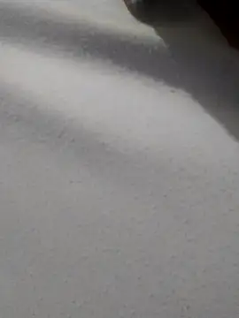 Snapshot of _Miaaleon chatting on November 16, 10:42 am Miaaleon online show from November 16, 10:42 am