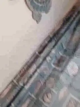 spence204011 online show from November 18, 2:09 pm