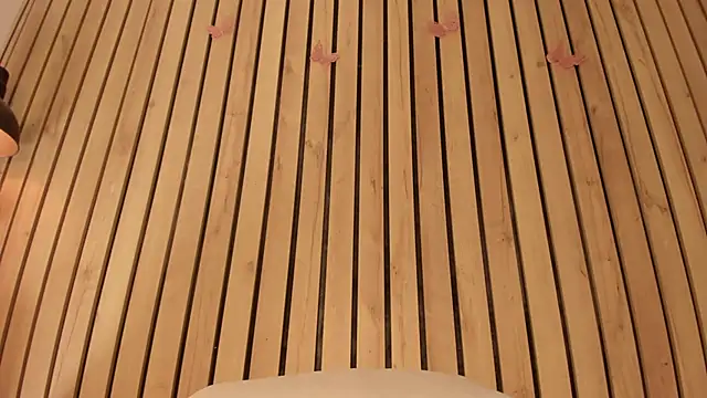 Snapshot of sofiesoft chatting on November 22, 12:59 pm sofiesoft online show from November 22, 12:59 pm