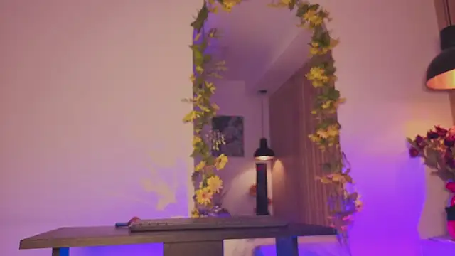 Snapshot of sofiesoft chatting on October 17, 1:46 pm sofiesoft online show from October 17, 1:46 pm