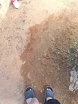 DickMasterfindom online show from December 21, 12:29 pm