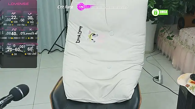 Snapshot of _YouY_ chatting on February 3, 3:06 pm YouY online show from February 3, 3:06 pm